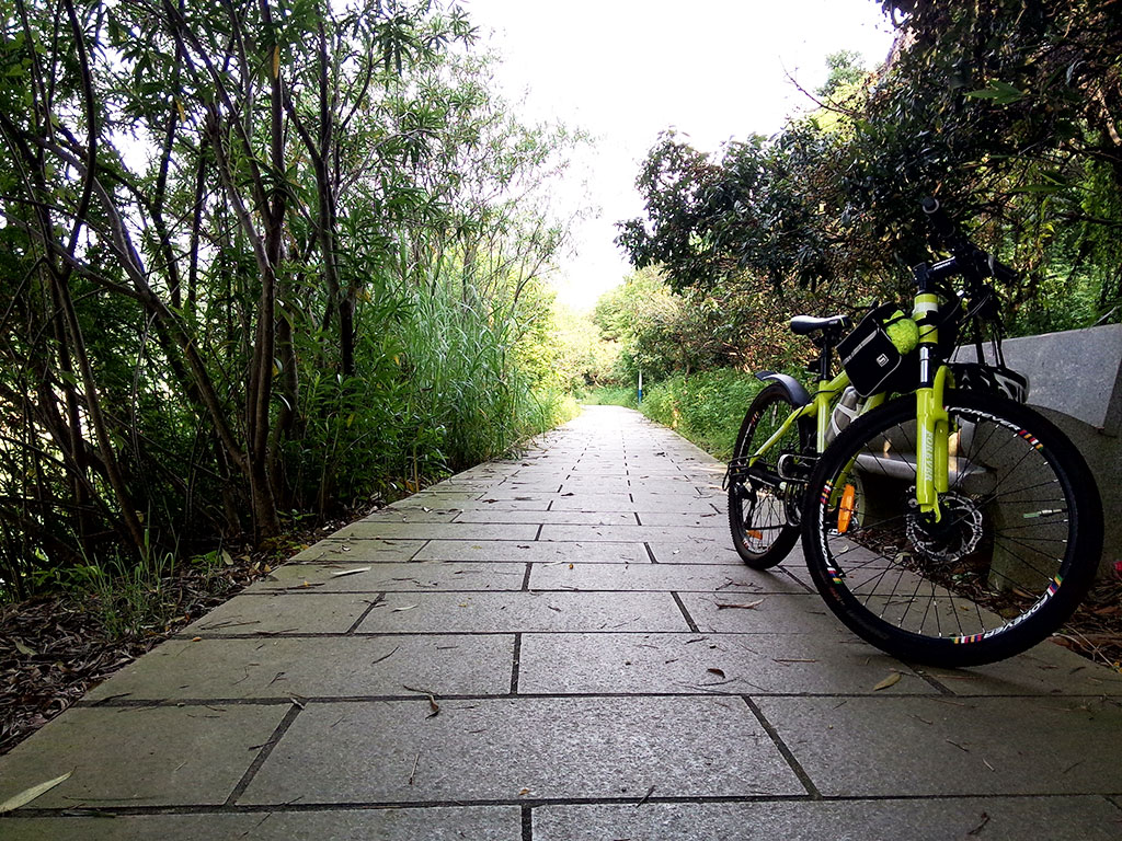 同沙生态公园小道及我的永久牌山地自行车