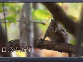 PotPlayer 1.6.48576 绿色中文版