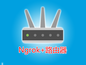 老毛子Padavan固件Ngrok内网穿透远程控制路由器教程