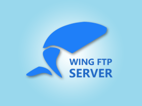 Wing FTP Server 6.0.3 强大的FTP服务器软件特别版