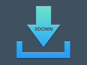 Xdown v1.0.1.4 多功能多线程并发下载工具